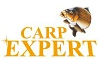 Сarp Expert